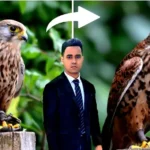 Auto Ai Photo Professional Editing Online