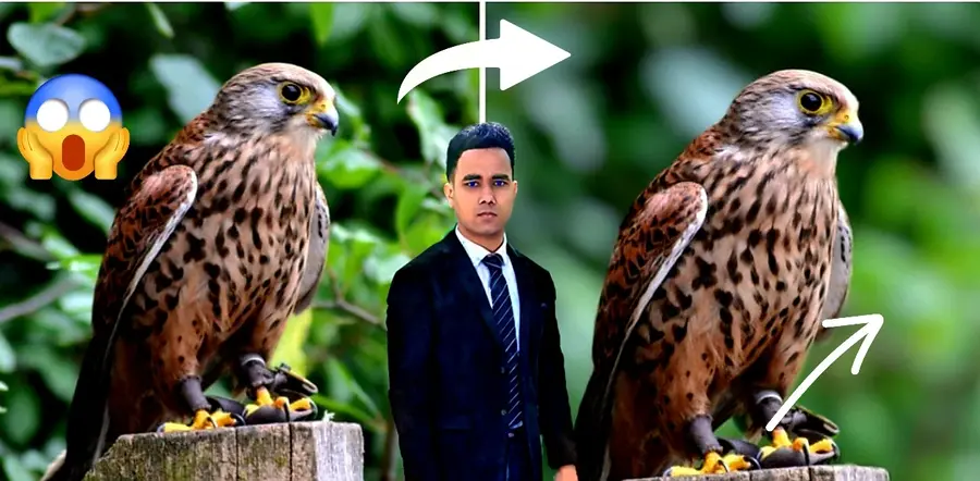 Auto Ai Photo Professional Editing Online